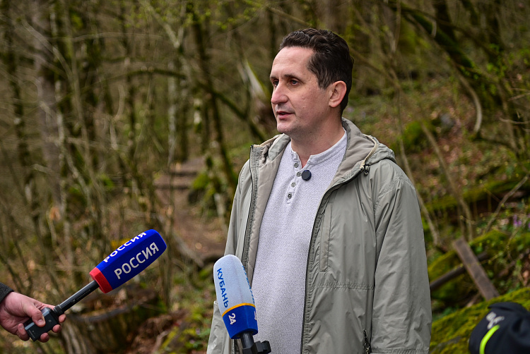 На «Роза Хутор» стартовал научный проект по спасению каштановых лесов Кавказа, фото 7 - круглогодичный курорт «Роза Хутор»