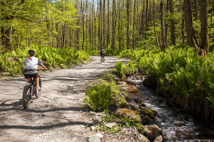 Роза Хутор развивает велотуризм, фото 5 - круглогодичный курорт «Роза Хутор»