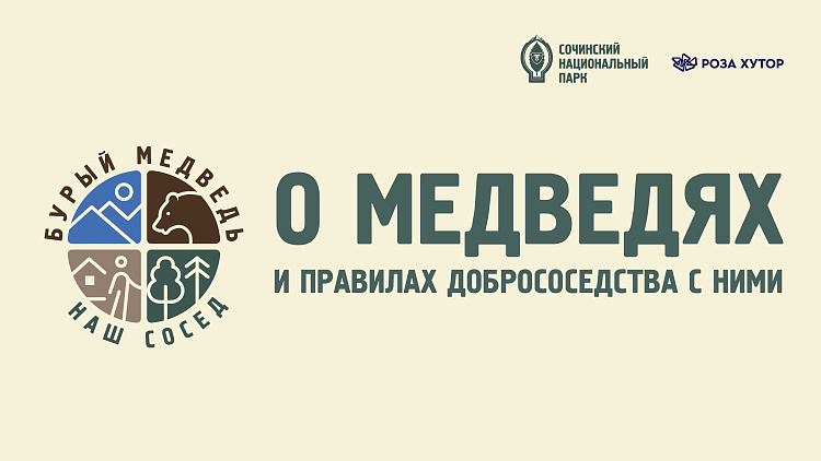 В Сочинском национальном парке состоялась заключительная встреча эколого-просветительского проекта «Бурый медведь - наш сосед», фото 4 - круглогодичный курорт «Роза Хутор»