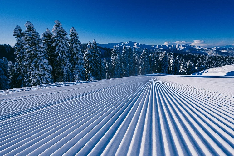 Более 865 тысяч гостей посетили «Роза Хутор» в зимнем сезоне 2024/2025 гг. , фото 3 - круглогодичный курорт «Роза Хутор»