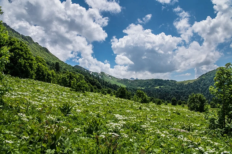 На «Роза Хутор» развивают природный туризм, фото 2 - круглогодичный курорт «Роза Хутор»