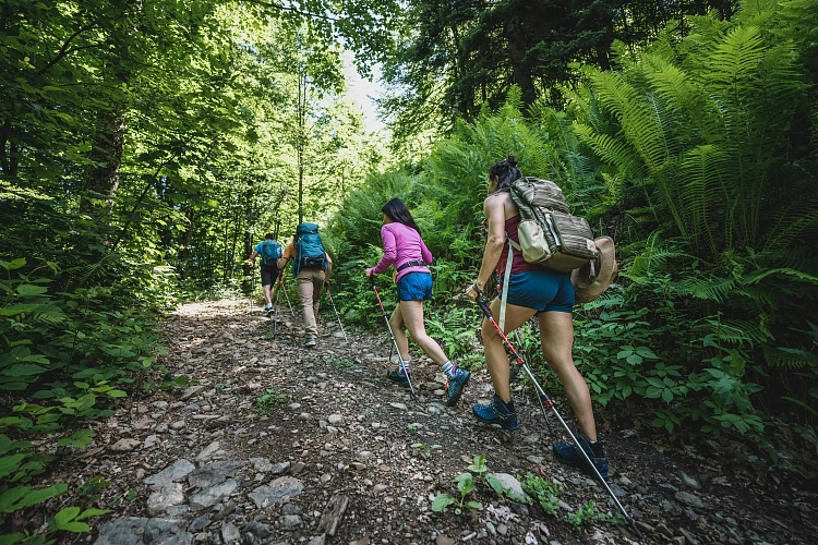 День туризма отметят на «Роза Хутор», фото 4 - круглогодичный курорт «Роза Хутор»