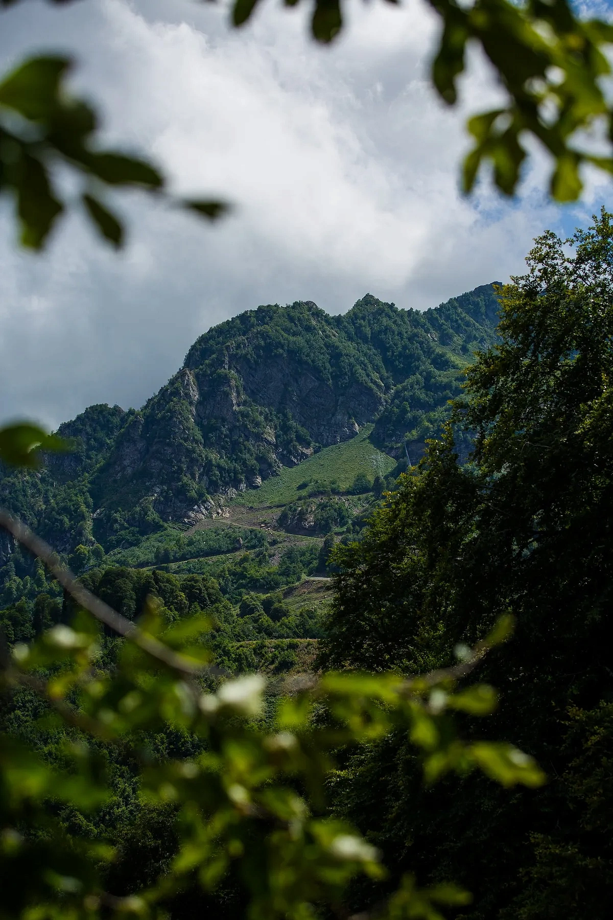 Тропа Лабиринт, фото 4 - круглогодичный курорт «Роза Хутор»