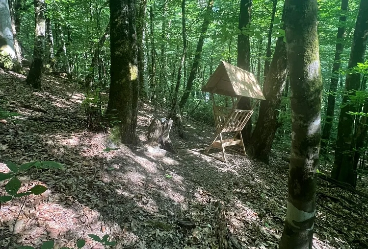 На «Роза Хутор» заботятся о биоразнообразии в горах , фото 1 - круглогодичный курорт «Роза Хутор»