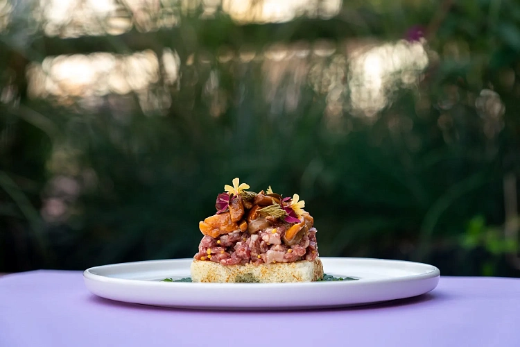 «Осенние истории» на «Роза Хутор», фото 4 - круглогодичный курорт «Роза Хутор»