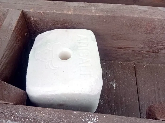 На «Роза Хутор» поддерживают оленей и косуль в зимний период , фото 2 - круглогодичный курорт «Роза Хутор»