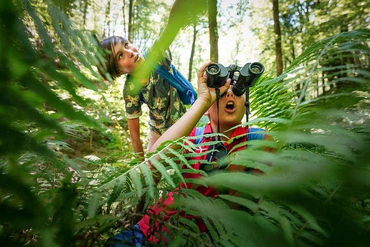 «Роза Хутор» займется профориентацией сочинских школьников, фото 3 - круглогодичный курорт «Роза Хутор»