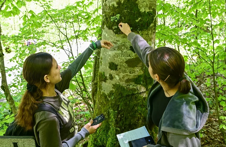 «Роза Хутор» принимает слет юных экологов, фото 1 - круглогодичный курорт «Роза Хутор»
