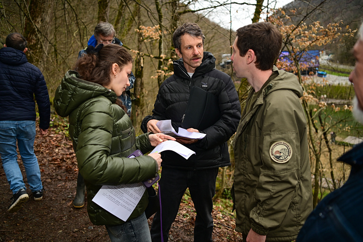 На «Роза Хутор» стартовал научный проект по спасению каштановых лесов Кавказа, фото 5 - круглогодичный курорт «Роза Хутор»