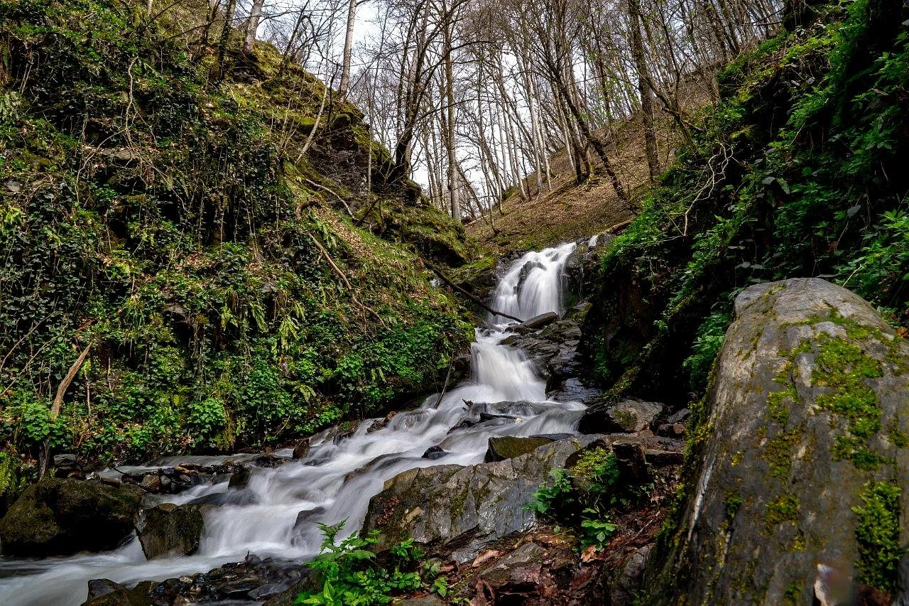 Тропа здоровья, среднее кольцо, фото 5 - круглогодичный курорт «Роза Хутор»