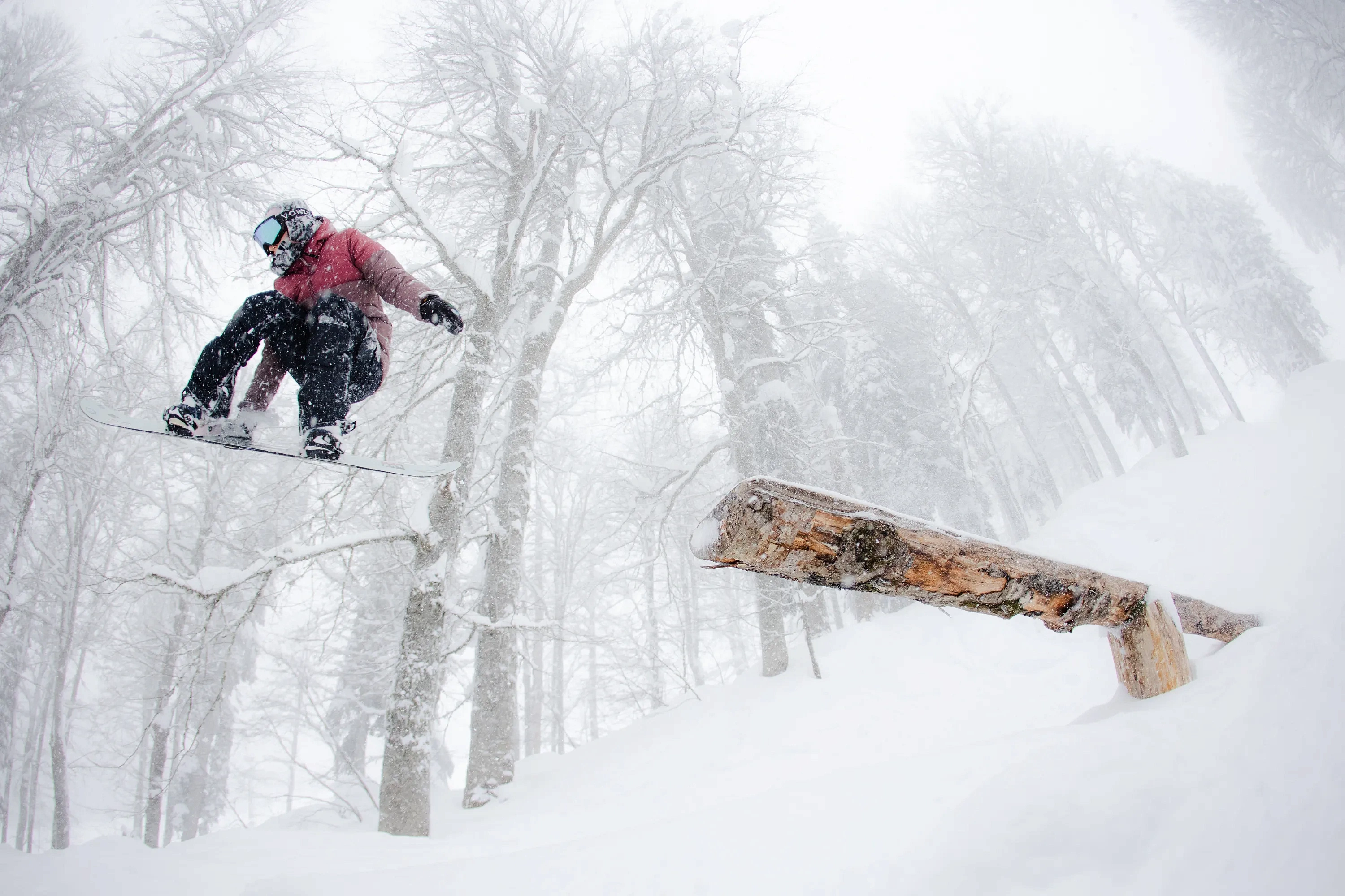 Лекция «О работе снежных парков на Роза Хутор», фото 1 - круглогодичный курорт «Роза Хутор»