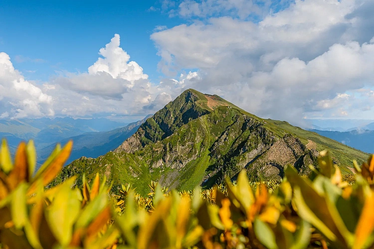 Летний сезон стартует 28 апреля, фото 2 - круглогодичный курорт «Роза Хутор»