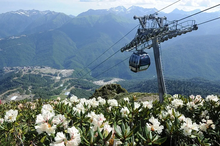 В связи с последствиями непогоды на «Роза Хутор» работают канатные дороги «Заповедный лес», «Эдельвейс» и «Кавказский экспресс», фото 1 - круглогодичный курорт «Роза Хутор»