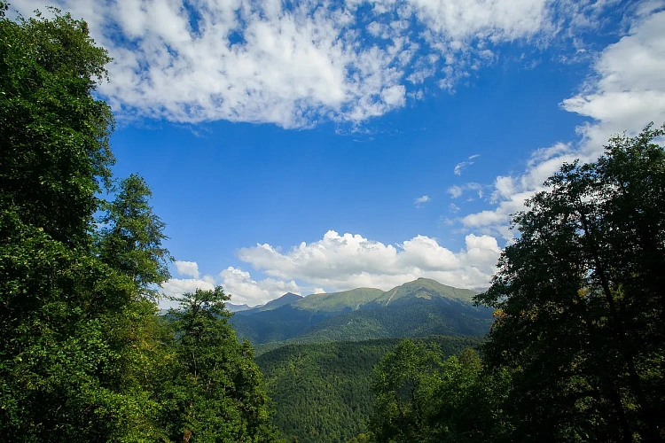 На «Роза Хутор» состоятся крупнейшие трейловые соревнования страны T-Банк ROSA WILD FEST 2025, фото 3 - круглогодичный курорт «Роза Хутор»