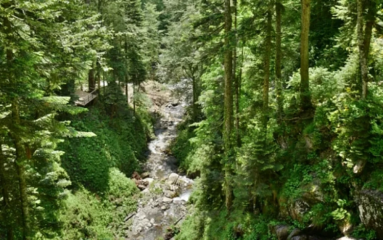 Открыт Парк водопадов на «Роза Хутор»!, фото 4 - круглогодичный курорт «Роза Хутор»