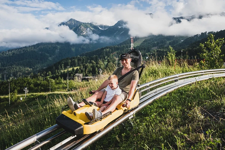 Канатки, альпаки, родельбан, Музей Археологии ждут школьников на «Роза Хутор», фото 4 - круглогодичный курорт «Роза Хутор»