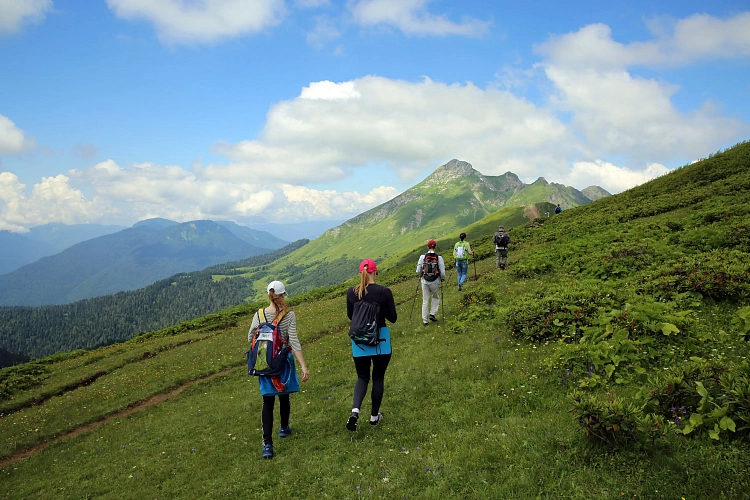 «Роза Хутор» поддержал III конкурс «Зеленый приют туриста на природной территории», фото 5 - круглогодичный курорт «Роза Хутор»