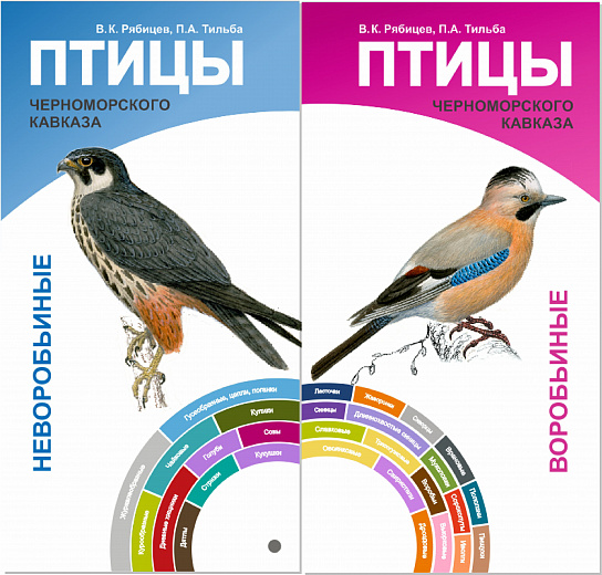 Вышел из печати атлас «Птицы Черноморского Кавказа», фото 1 - круглогодичный курорт «Роза Хутор»