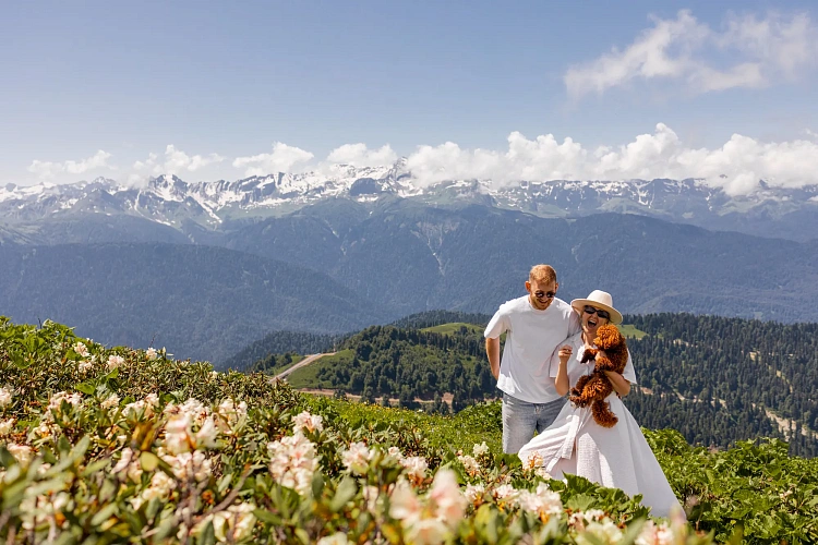 На «Роза Хутор» началось цветение рододендронов, фото 3 - круглогодичный курорт «Роза Хутор»