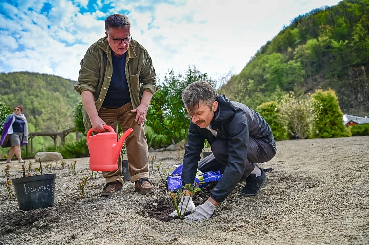 Новый сорт роз назвали в честь горного курорта «Роза Хутор», фото 2 - круглогодичный курорт «Роза Хутор»