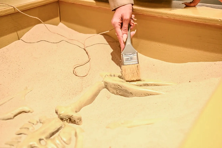 Отправиться в археологическую экспедицию можно на «Роза Хутор», фото 2 - круглогодичный курорт «Роза Хутор»