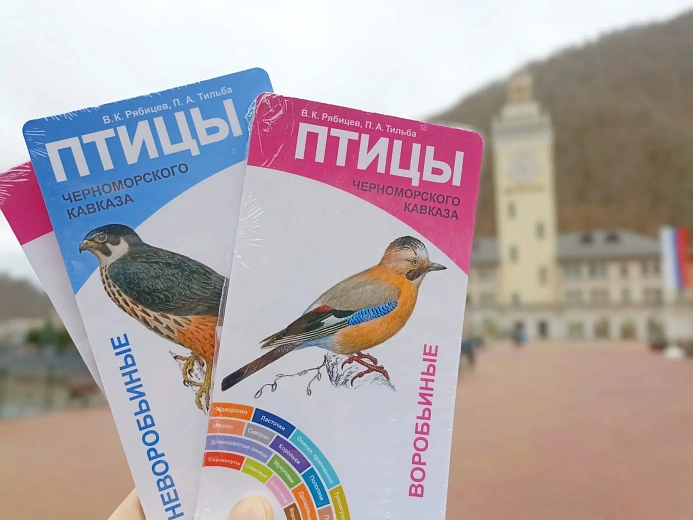 Искусственные гнездовья для птиц установят на «Роза Хутор», фото 1 - круглогодичный курорт «Роза Хутор»