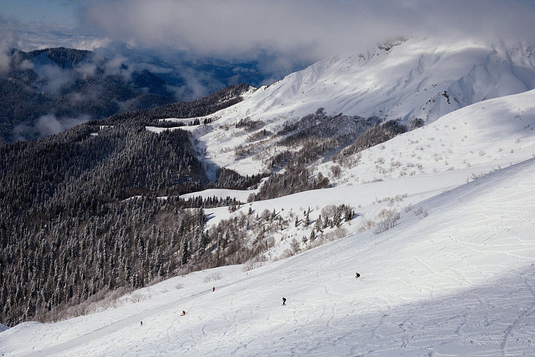 «Роза Хутор» временно приостановил продажи ски-пассов , фото 2 - круглогодичный курорт «Роза Хутор»
