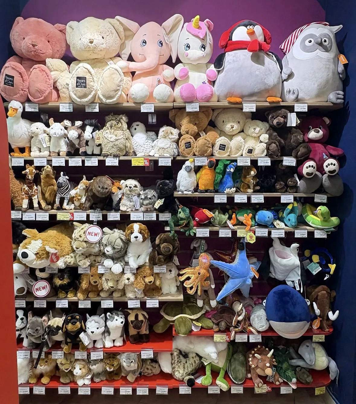 Магазин «ПОигрушки», фото 4 - круглогодичный курорт «Роза Хутор»