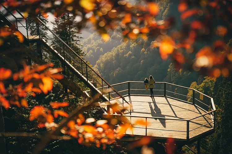 В дни школьных каникул курорт предлагает выгодный тариф для всей семьи! , фото 2 - круглогодичный курорт «Роза Хутор»