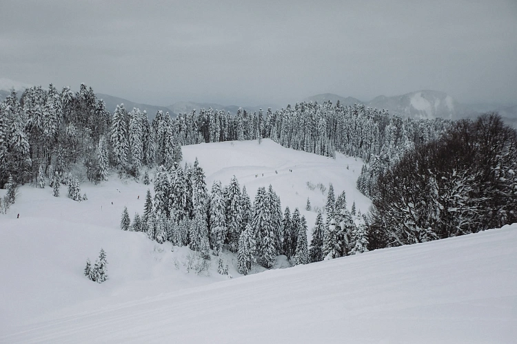 «Роза Хутор» открыл две новые трассы на Южном склоне, фото 7 - круглогодичный курорт «Роза Хутор»