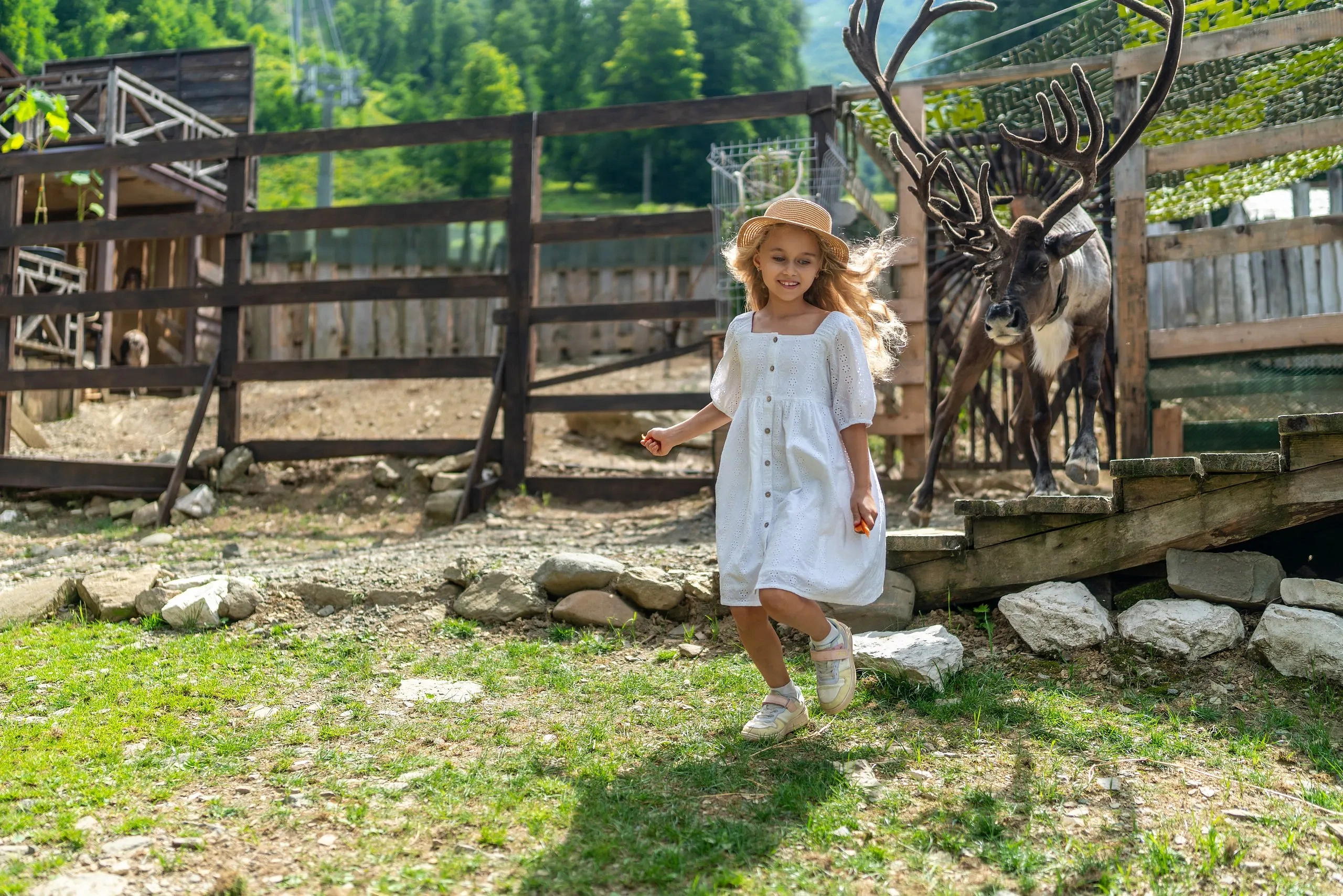 Оленья ферма, фото 8 - круглогодичный курорт «Роза Хутор»