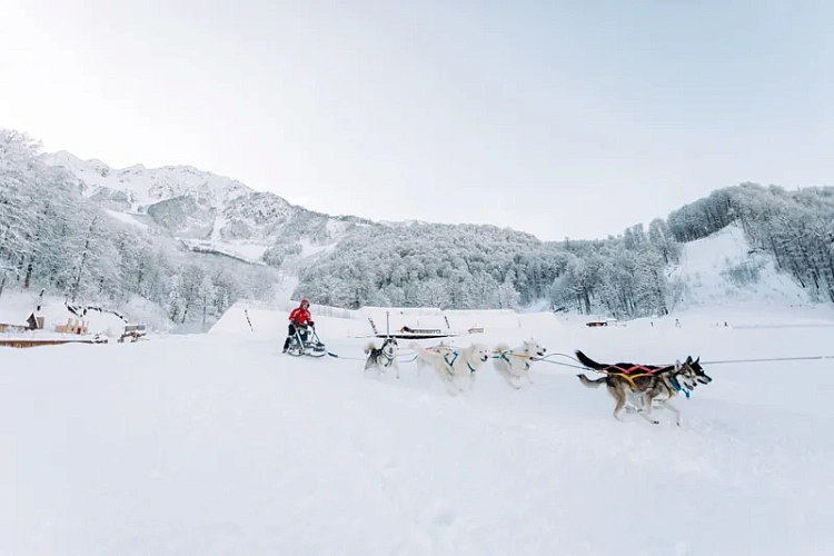 Свыше 800 тысяч гостей посетили курорт «Роза Хутор» в прошедшем зимнем сезоне , фото 4 - круглогодичный курорт «Роза Хутор»