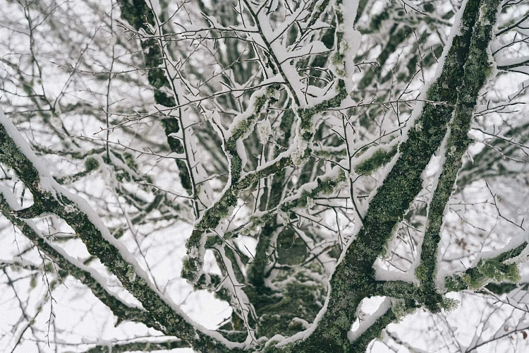 Уникальный сноупарк The Stash (Стеш-парк) открылся на Роза Хутор, фото 3 - круглогодичный курорт «Роза Хутор»