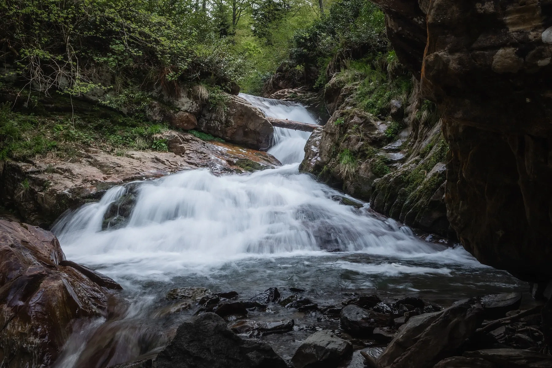 Природный парк водопадов «Менделиха», тропа к водопаду Золотой, фото 4 - круглогодичный курорт «Роза Хутор»
