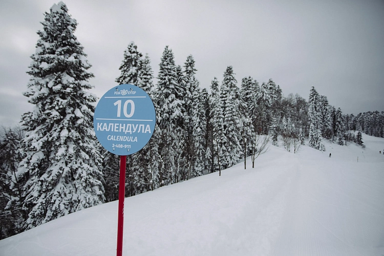 «Роза Хутор» открыл две новые трассы на Южном склоне, фото 6 - круглогодичный курорт «Роза Хутор»