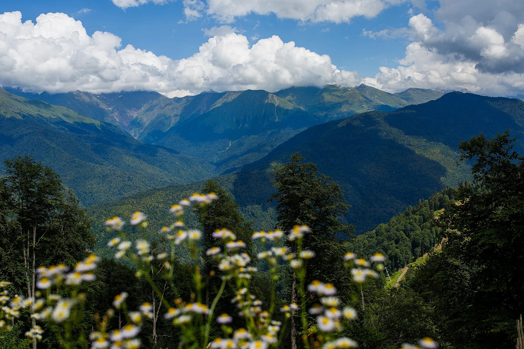 Тропа Лабиринт, фото 3 - круглогодичный курорт «Роза Хутор»