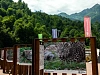 День леопарда отметят на «Роза Хутор», фото 2 - круглогодичный курорт «Роза Хутор»