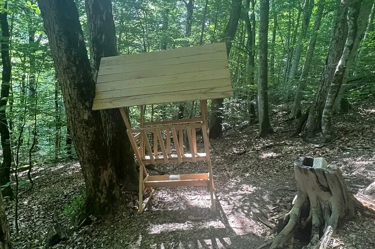 На «Роза Хутор» заботятся о биоразнообразии в горах , фото 2 - круглогодичный курорт «Роза Хутор»