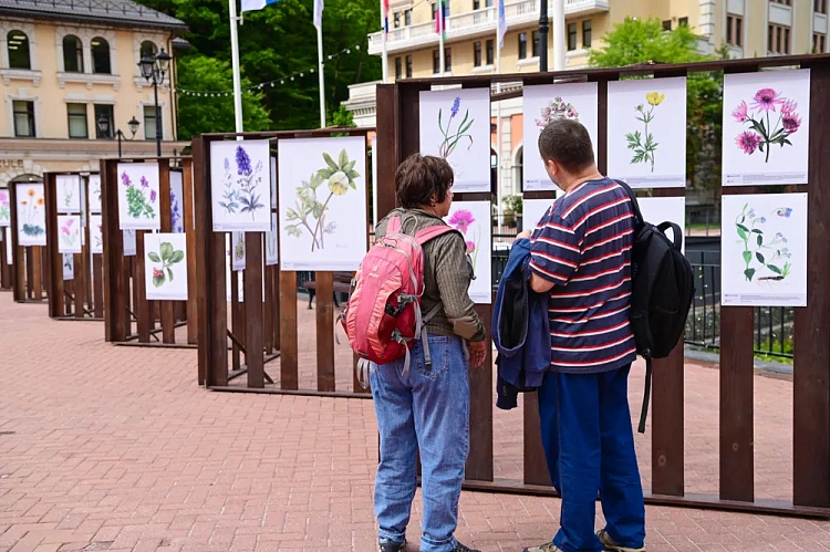 Выставка мастеров ботанической иллюстрации открылась на «Роза Хутор», фото 2 - круглогодичный курорт «Роза Хутор»