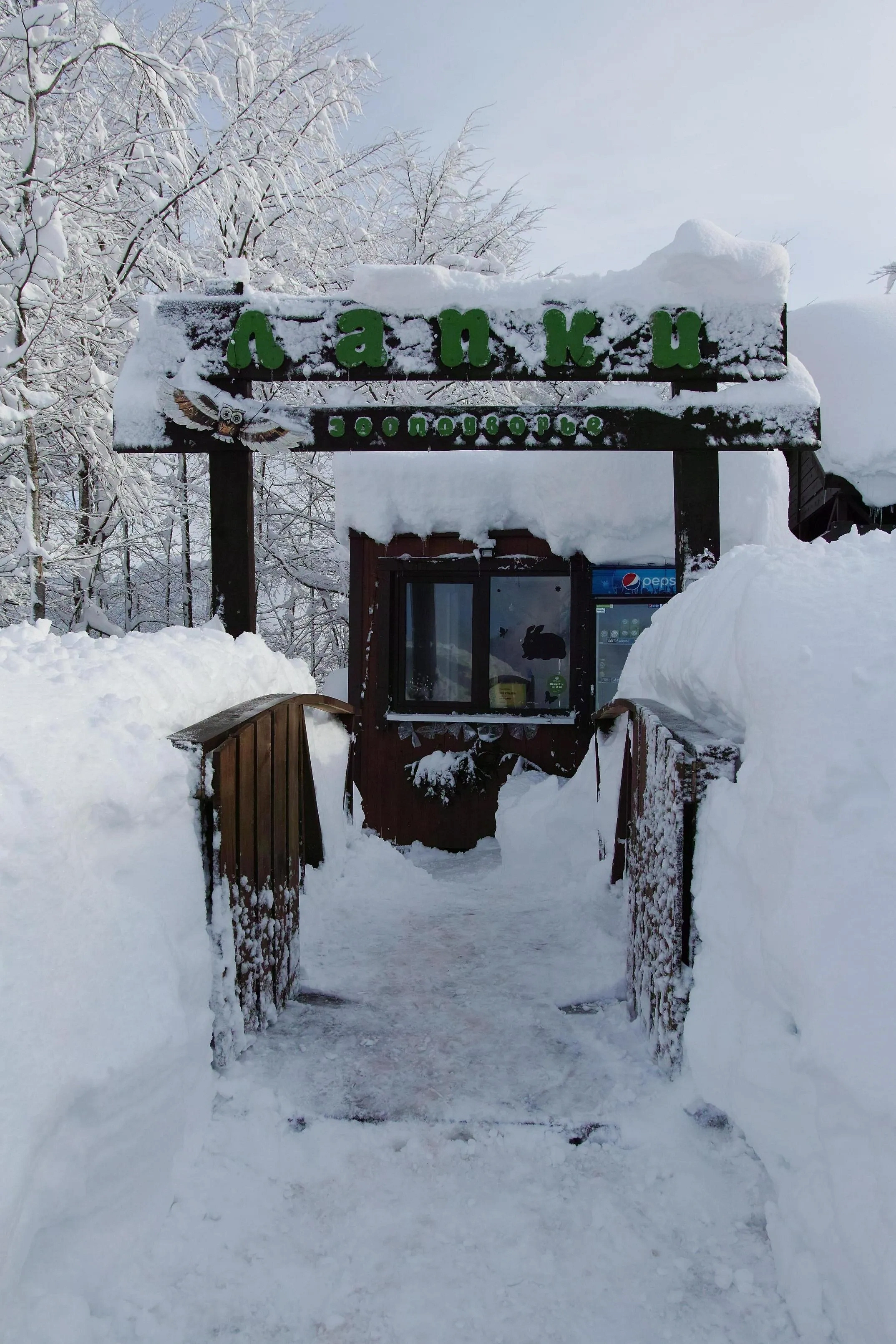 Зооподворье «Лапки», фото 3 - круглогодичный курорт «Роза Хутор»