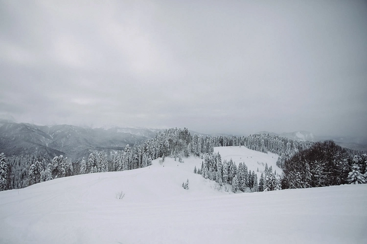 «Роза Хутор» открыл две новые трассы на Южном склоне, фото 4 - круглогодичный курорт «Роза Хутор»