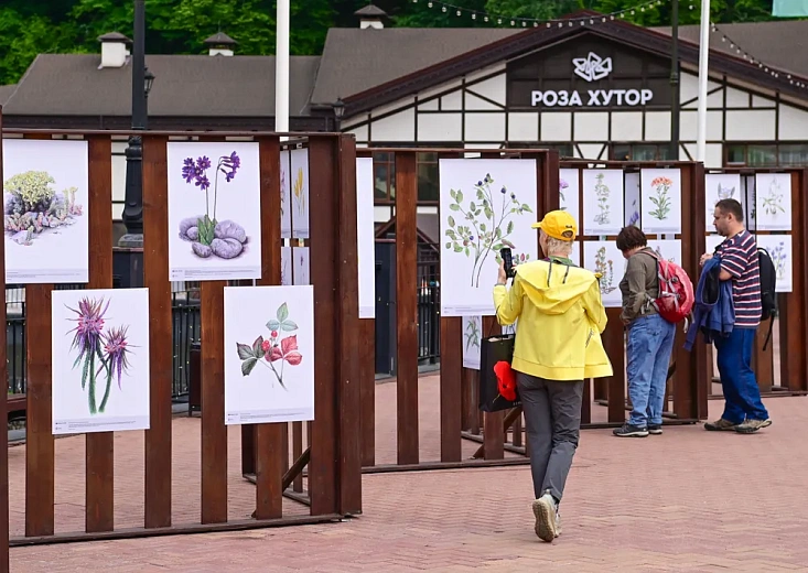 Выставка мастеров ботанической иллюстрации открылась на «Роза Хутор», фото 1 - круглогодичный курорт «Роза Хутор»