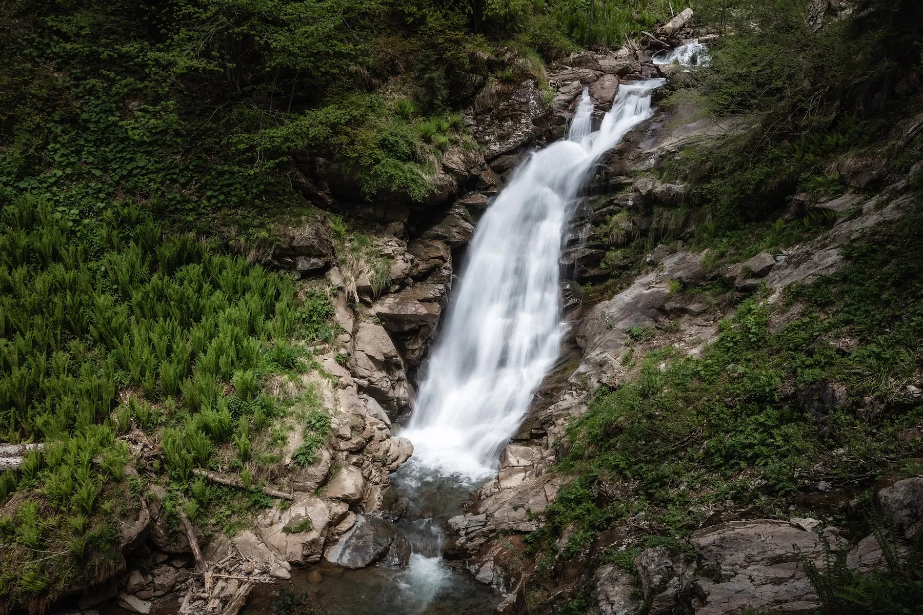 Природный парк водопадов «Менделиха», тропа к водопаду Золотой, фото 1 - круглогодичный курорт «Роза Хутор»