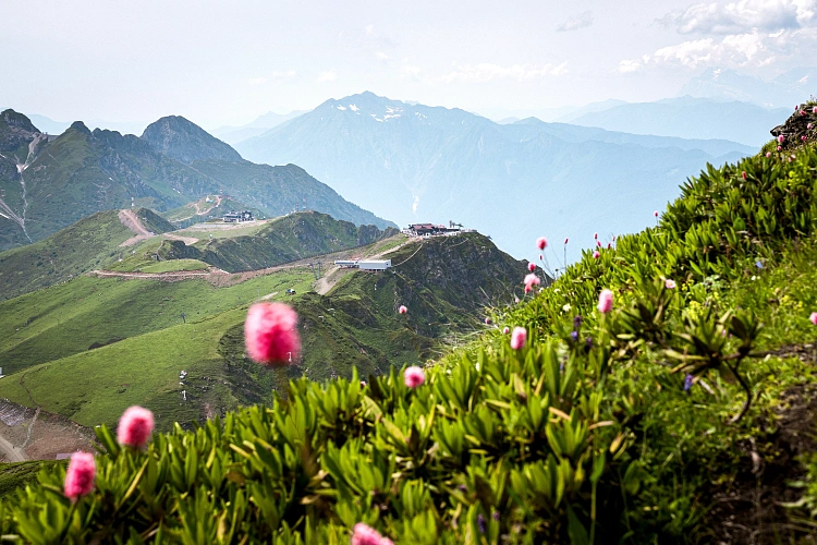 «Роза Хутор» поддержит экологические проекты сочинских школьников, фото 1 - круглогодичный курорт «Роза Хутор»