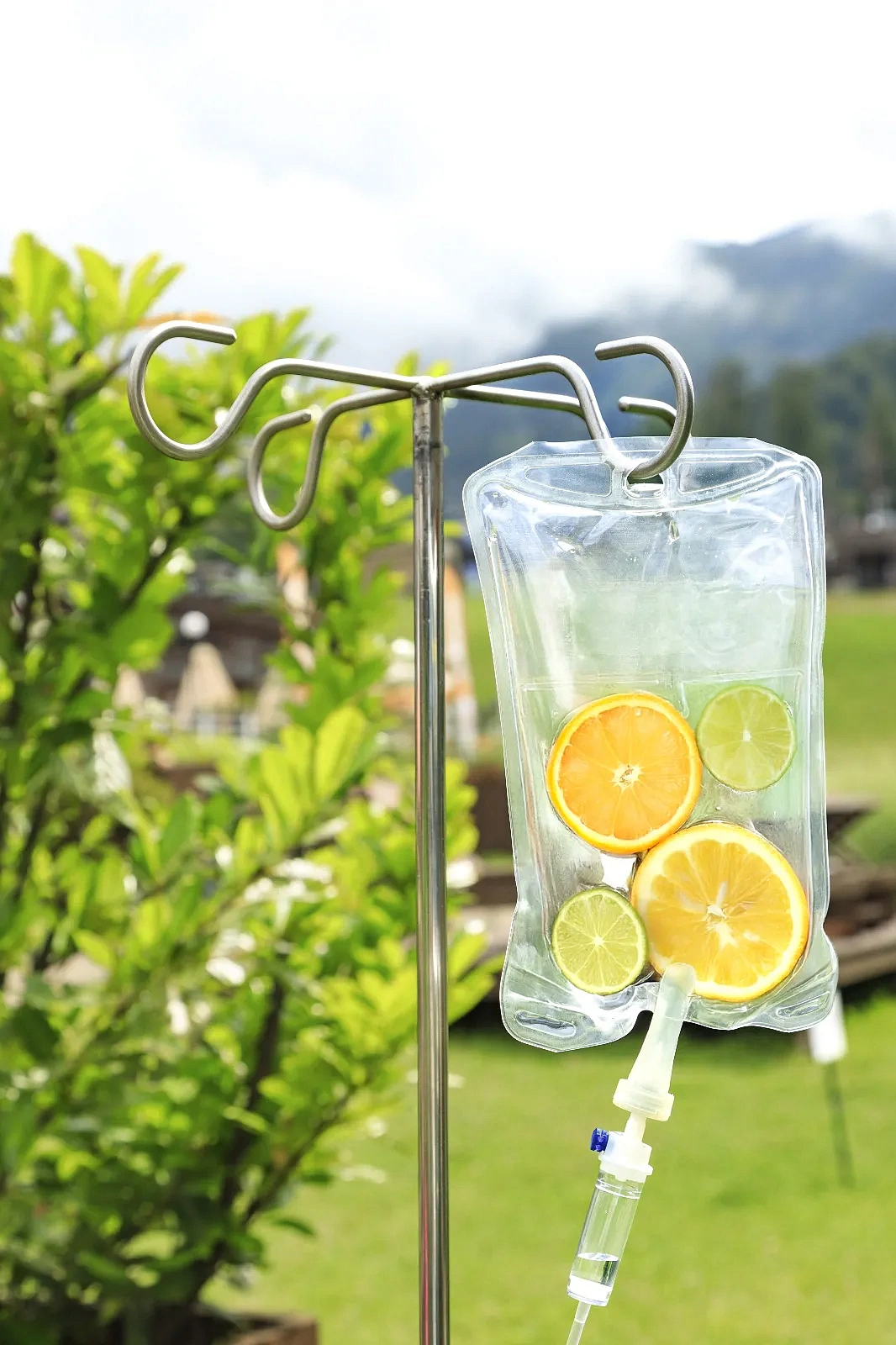 IV — Терапия в клинике Rosa Springs, фото 2 - круглогодичный курорт «Роза Хутор»