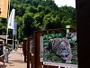 День леопарда отметят на «Роза Хутор», фото 3 - круглогодичный курорт «Роза Хутор»