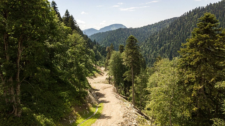 Роза Хутор внедряет «Зеленый код» , фото 4 - круглогодичный курорт «Роза Хутор»