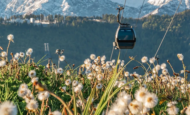 В летнем сезоне откроются новые пешие тропы , фото 5 - круглогодичный курорт «Роза Хутор»