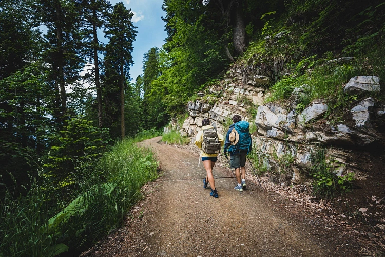 Природный парк водопадов «Менделиха» открылся для посещения на Роза Хутор, фото 4 - круглогодичный курорт «Роза Хутор»