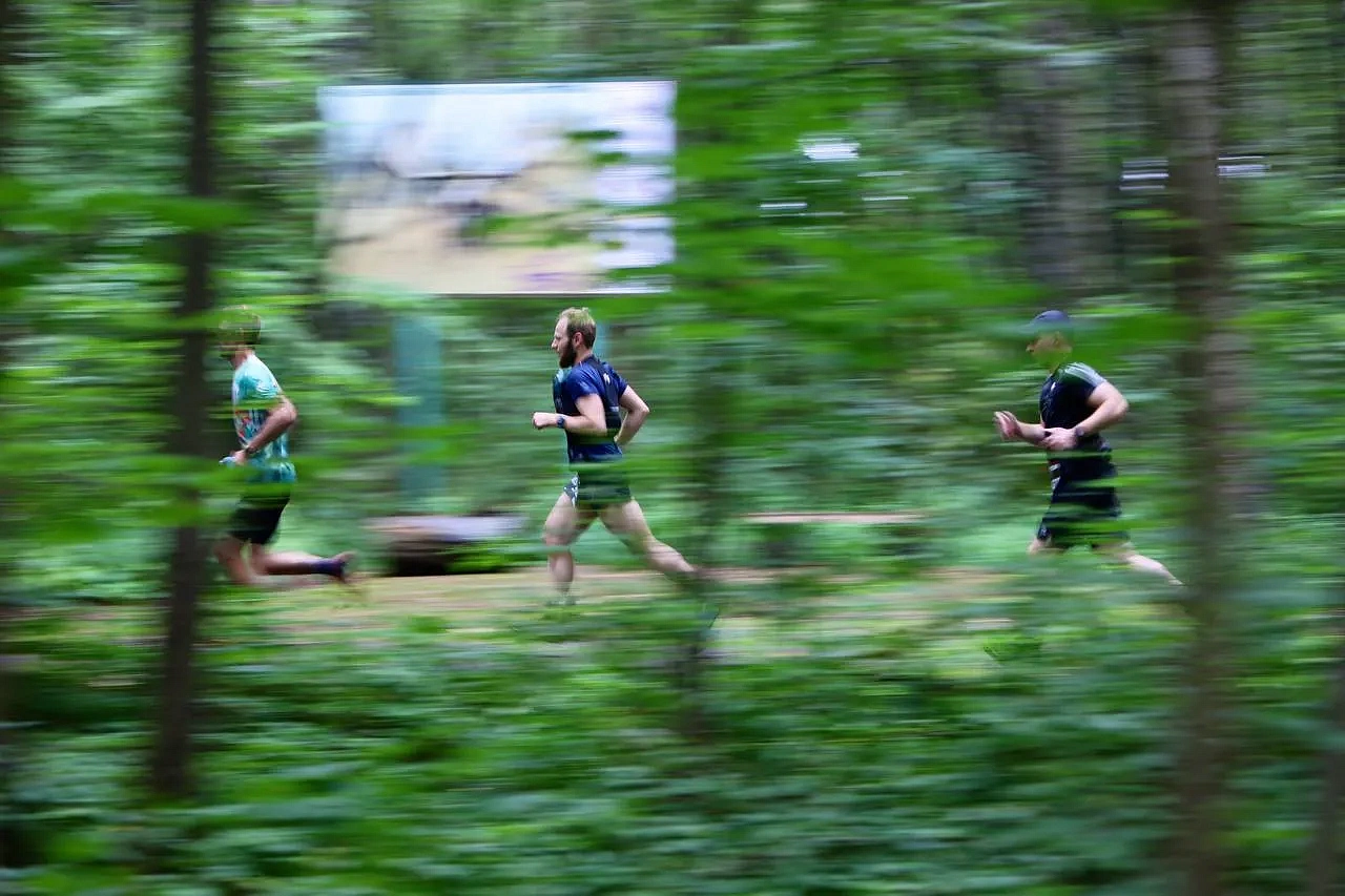 Т-Банк Rosa Wild Fest 2026, фото 5 - круглогодичный курорт «Роза Хутор»
